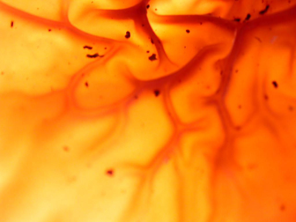 Nel fuoco del inferno... Quiz